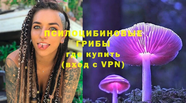 ALPHA-PVP Гусь-Хрустальный