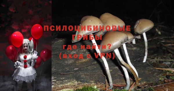 ALPHA-PVP Гусь-Хрустальный
