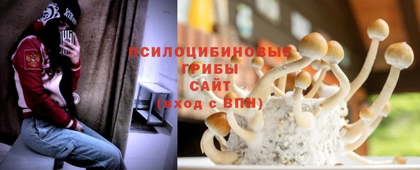 ALPHA PVP Гусиноозёрск