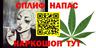 индика Ливны